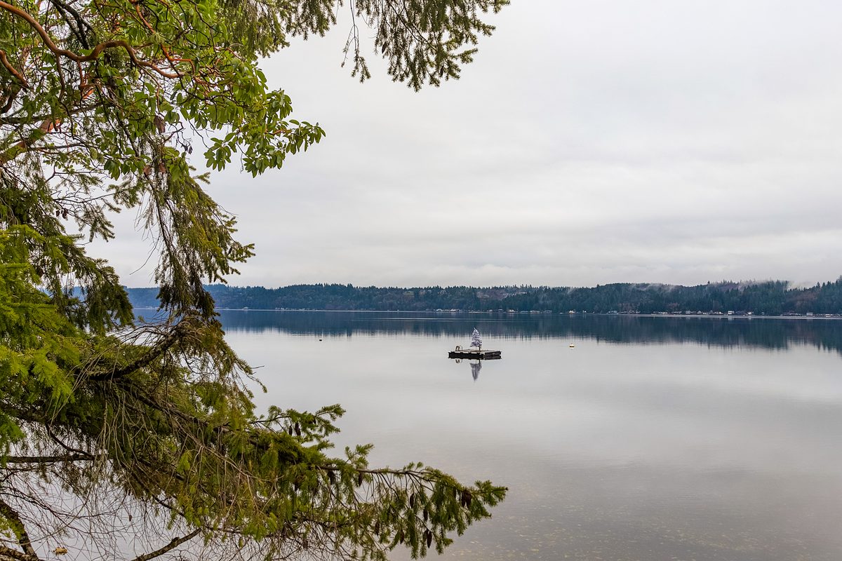 Misty morning on Hood Canal — serene waters ideal for wildlife viewing